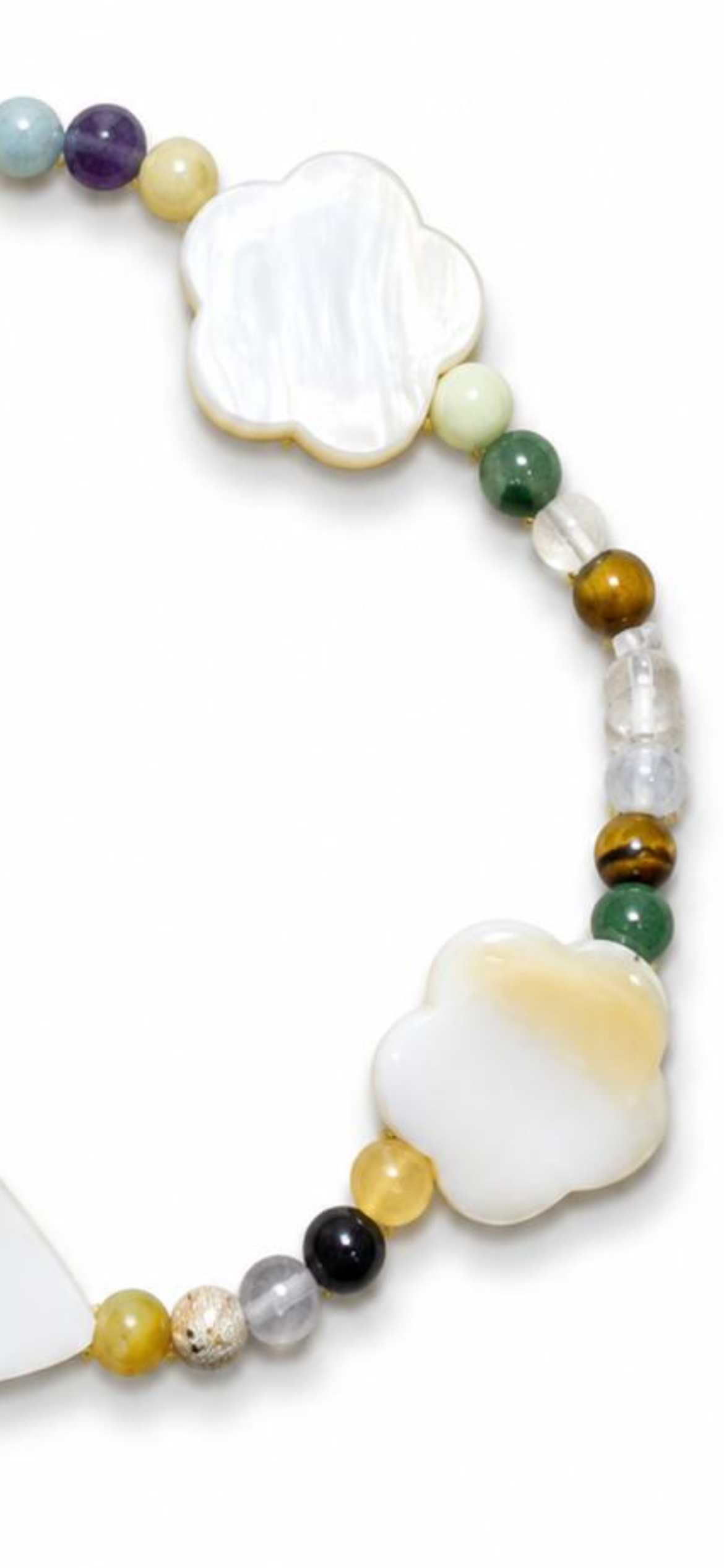 Vanilla shell .2.
Months of pearl 
Jasper